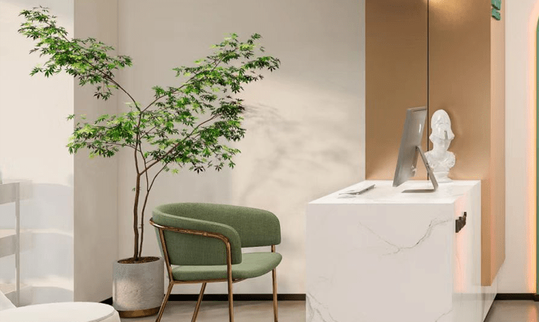 皮膚管理美容加盟——探尋無限商機的黃金行業(yè)